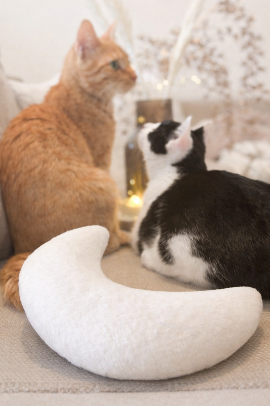 Katzenkissen Plüsch