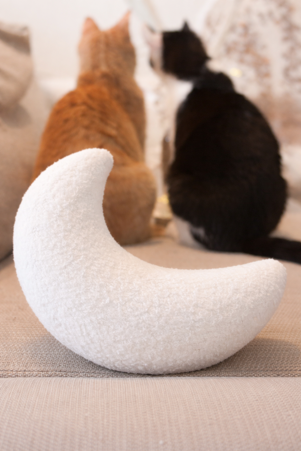 Katzenkissen Plüsch