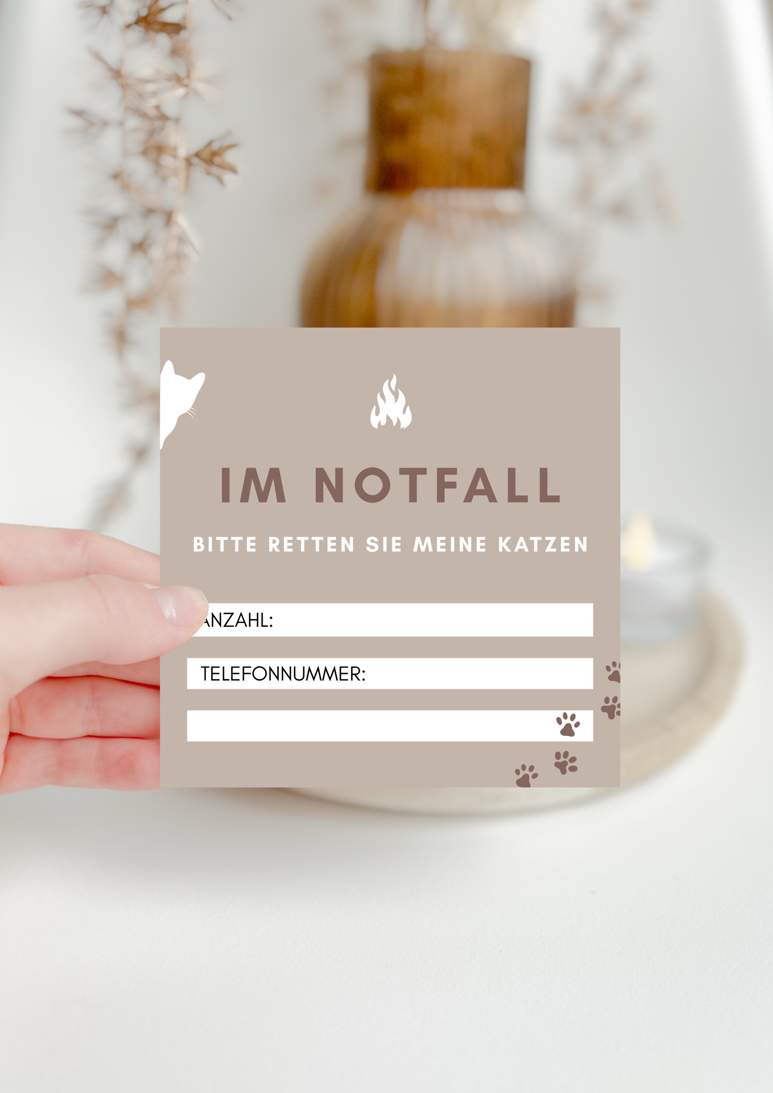 Notfall Sticker | Katze im Haus
